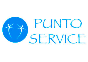 punto service case history globe